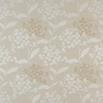 Hydrangea Oyster